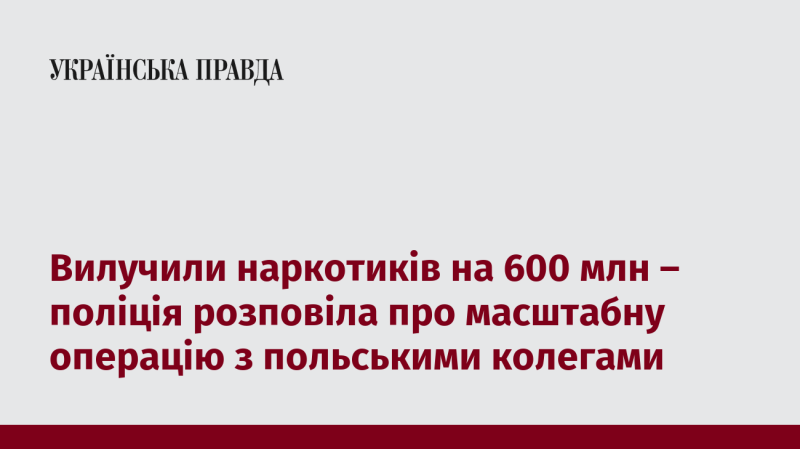 Виявлено наркотиків на 600 мільйонів: поліція повідомила про велику операцію спільно з польськими колегами