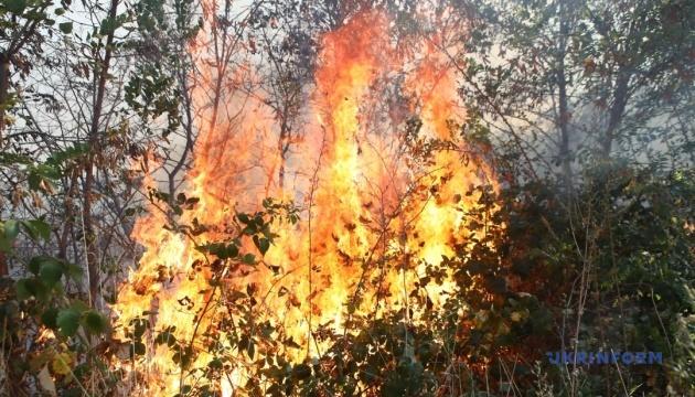 У зв'язку з лісовою пожежею в одному з сіл Ізюмського району проводиться евакуація мешканців.